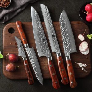 5PCS-pro-67-layers-high-carbon-damascus-knife-1